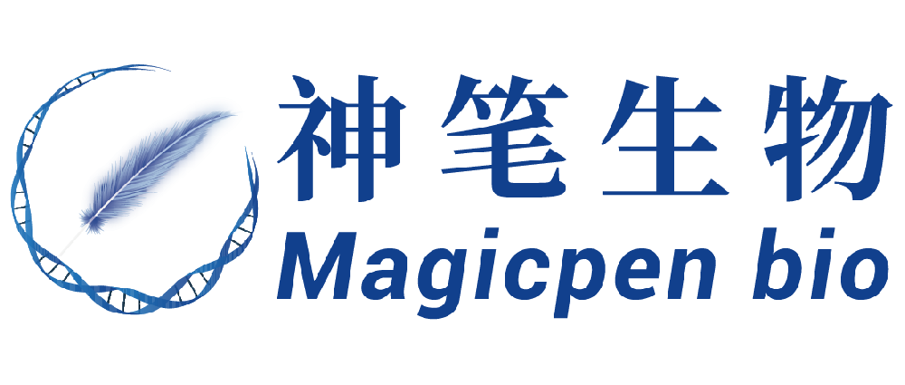 神笔生物